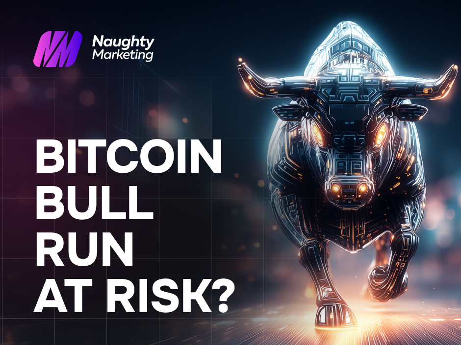 Bitcoin Bull Run cover