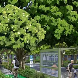 Brisbane’s Green Future: Celebrating Award-Winning Urban Design