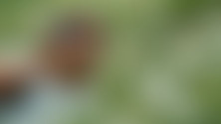 Make 'STORY' the heart of content and connection in 2026