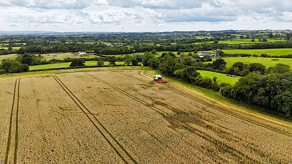 dji_fly_20240727_123920_0182_17220850420