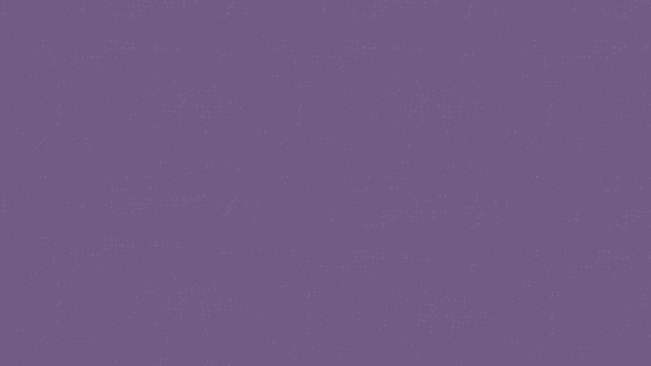 wix strip (1).png