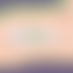 Learn More About Collective Giving!