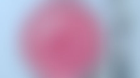 Mousse o yogur vegano