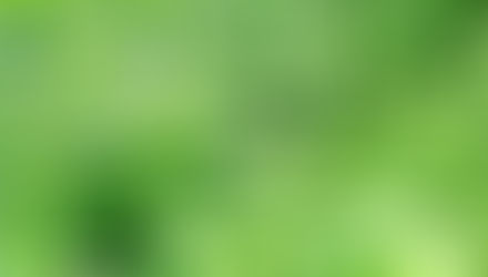 El mandala del YO SOY.