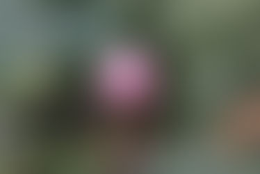 Mirar hacia adentro.