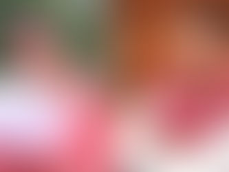 कर्ज में डूबे किसान की पुकार: “न्याय नहीं तो इच्छामृत्यु दे दो”