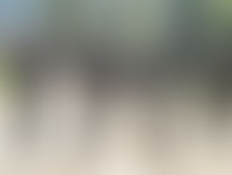 मणिपुर में सुरक्षा बलों की बड़ी कार्रवाई: तीन खूंखार उग्रवादी गिरफ्तार, एक महिला भी शामिल