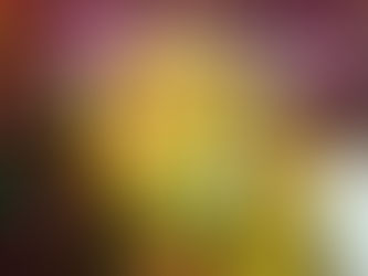 कविका लेआउट में श्री मसाना कलिकांबा महोत्सव श्रद्धा और उत्साह के साथ संपन्न