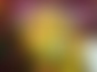 नगर देवता अणम्मादेवी–बंडे महाकालम्मा देवी के 36वें वार्षिक उत्सव में उमड़ा आस्था का सैलाब