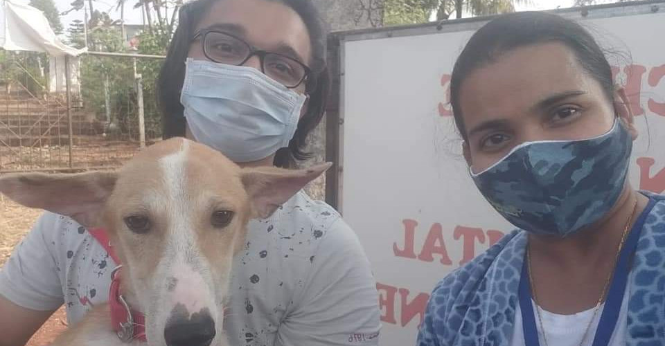 Man and woman in masks holding a brown and white dog.