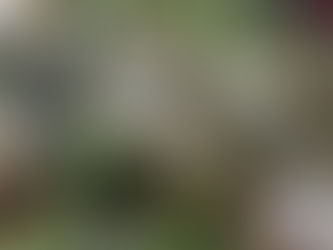 कचरा संग्रहण ठप होने से बेंगलूरु पर संकट की आहट, ठेकेदारों पर एफआईआर दर्ज