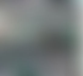 चीनी मिल चालू नहीं हुई तो उग्र आंदोलन होगा: गन्ना उत्पादक संघ की चेतावनी