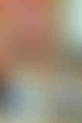 Man in BJP sash at Karnataka political event