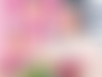 तमिलनाडु में 72 घंटे पहले नायडू का हाई-वोल्टेज दौरा, सियासत गरमाई