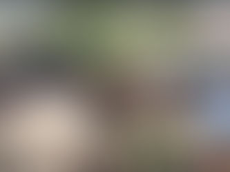 पश्चिम बंगाल में हिंसा, तमिलनाडु में उत्साह के बीच मतदान