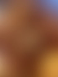 Stuffed Turkey Meatloaf