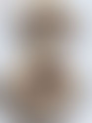 Protein Cranberry Walnut Muffins