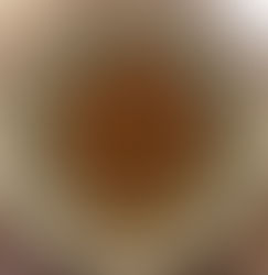 Thanksgiving Wednesday