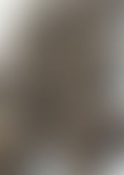 Chocolate Snow Balls