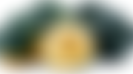 How to Safely Cut Acorn Squash