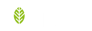 Olivia-Logo.png