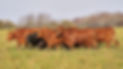 AdobeStock_464705278.jpeg