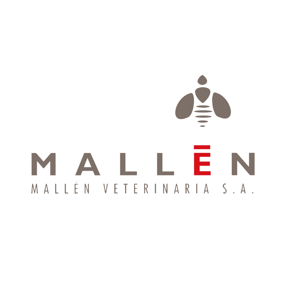 WEB MALLEN_Mesa de trabajo 1 copia 3