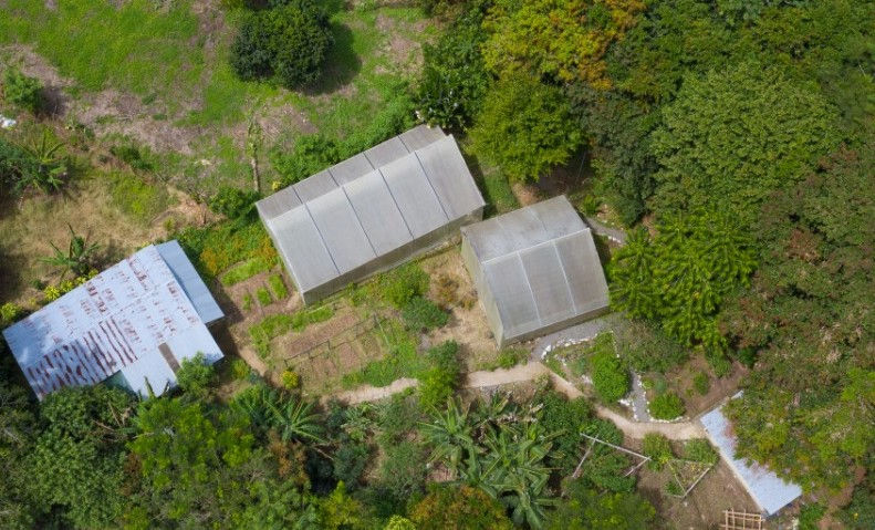 Foto aérea del jardín
