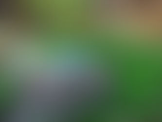 Shall We Unravel.........