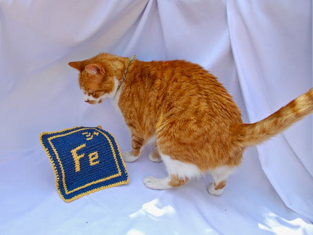 Photography Challenges