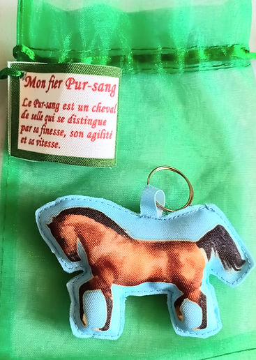 Mon fier Pur-sang 12bisbis Éditions