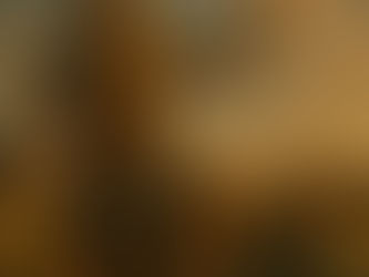 Hand reaching for a black Holy Bible on a wooden surface with warm sunlight and shadows. The mood is contemplative and serene.