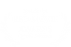 Best Script - RED MOVIE AWARDS - Official Selection (1).png