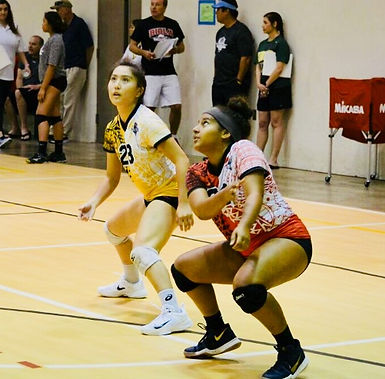 Hawaii volleybal recruits