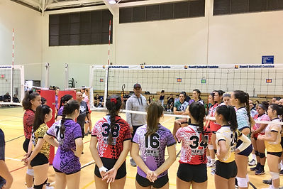Support the Hawaii Volleyball Foundation