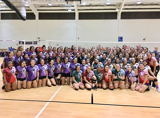 The Hawaii Volleyball Foundation