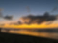 IMG_7455.jpeg
