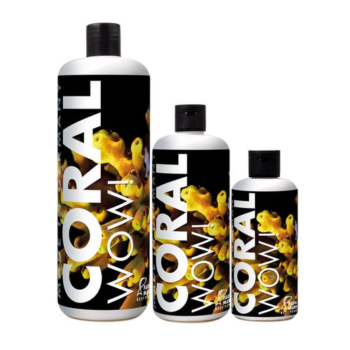 Fauna Marin Coral WOW !