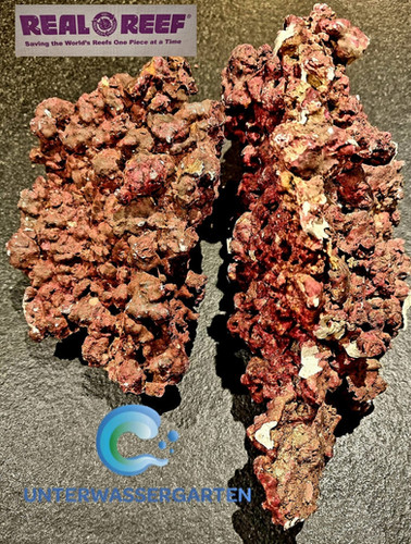Real Reef Rocks