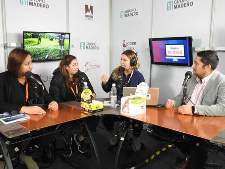 ENEXPRO Proveedores mineros 2022 cierra con una proyección de negocios sobre los US$ 29 millones