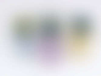 THE CHEEKY PASTEL PLANTERS