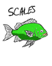 Scales