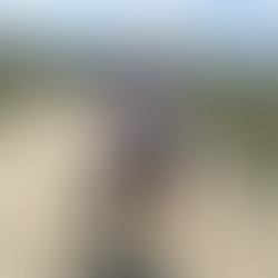 The Traka 2019/2022/2024