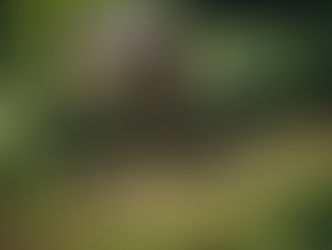 L'actu des marques : Tailfin, Fizik, Mavic 