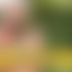 Changer ses plaquettes de frein