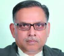 There should be a cadre of insolvency professionals so that they are accountable to a body