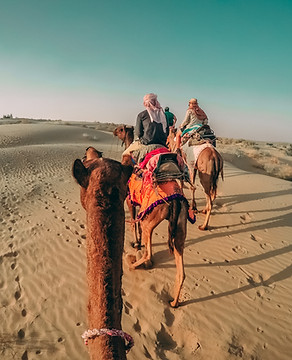Rajasthan.jpg
