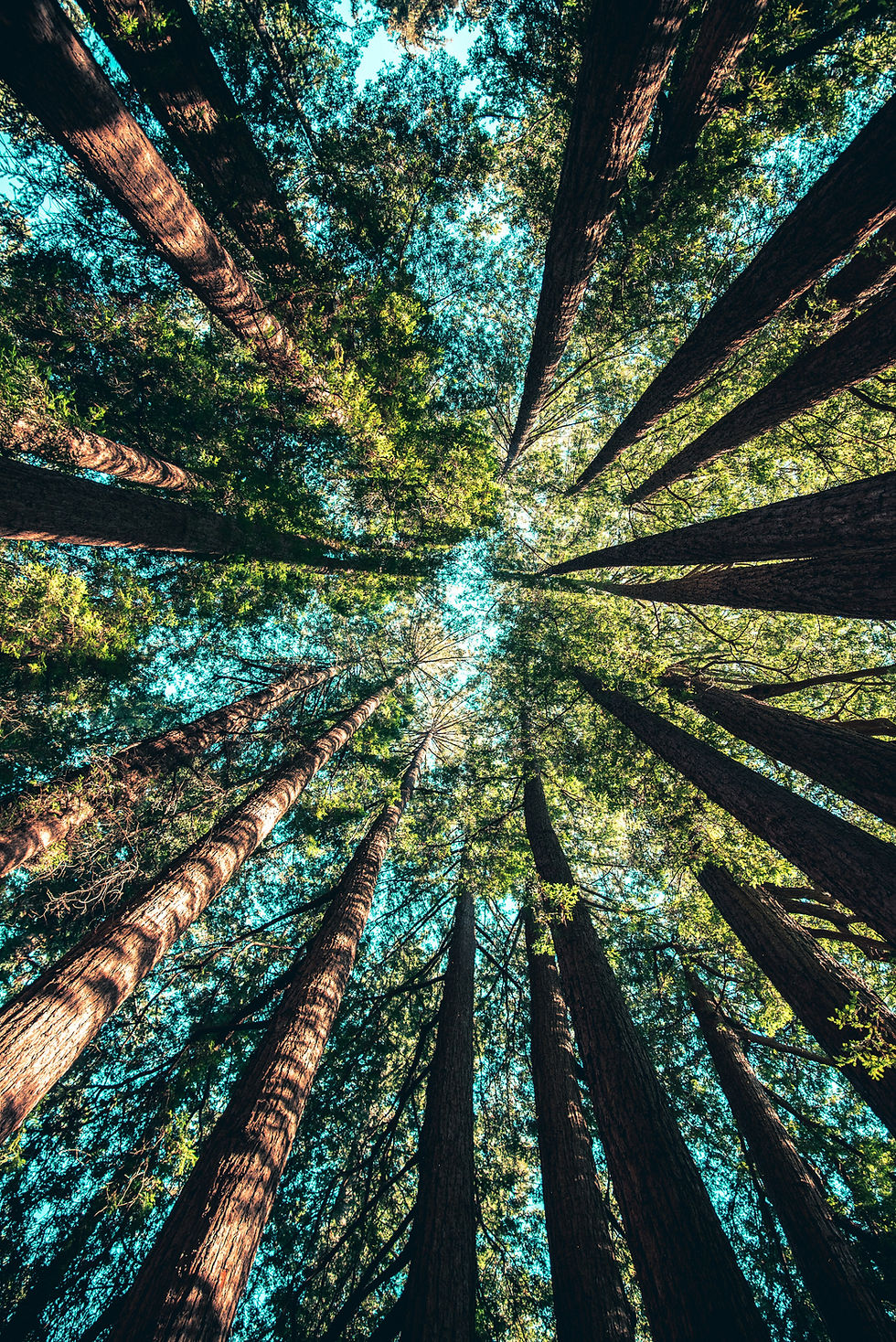 Energetische Balance Hypnose St. Pölten HYPNOGETIK