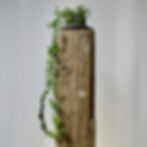 Gedecoreerde New York Post meerpaal sokkel met een plant erop.