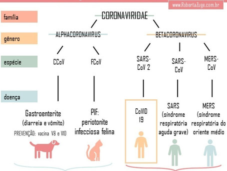 Vacina de Cão é para os Cão